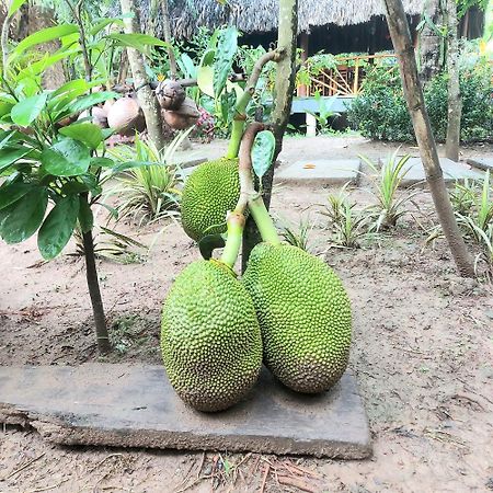Homestay Nam Hàm Luông Ben Tre Esterno foto