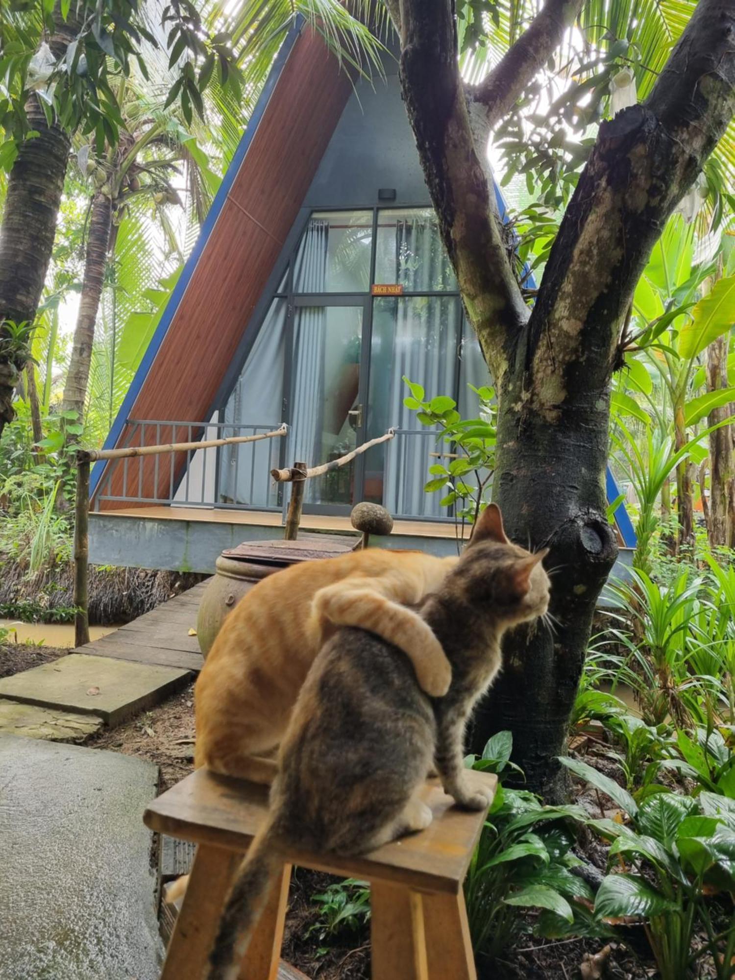 Homestay Nam Hàm Luông Ben Tre Esterno foto